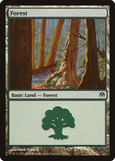 Floresta / Forest - Magic: The Gathering - MoxLand